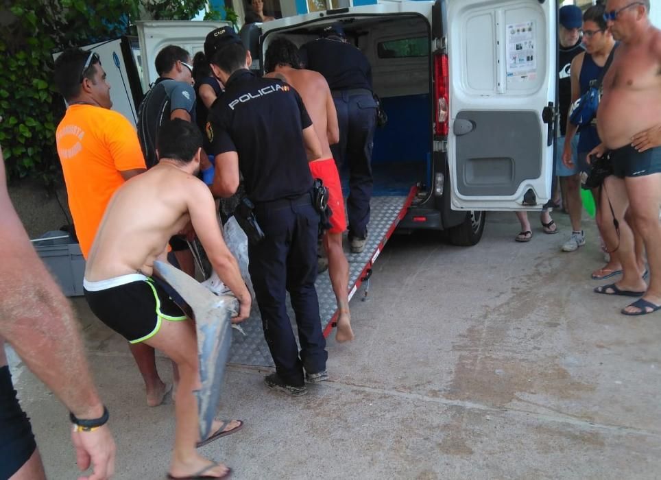 Pánico por la aparición de un tiburón en la playa de Calas de Mallorca