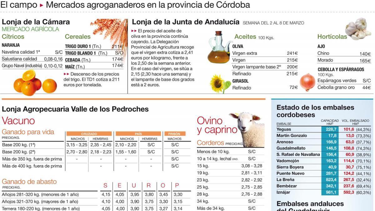 Sigue la recogida del olivar y otras tareas del cultivo