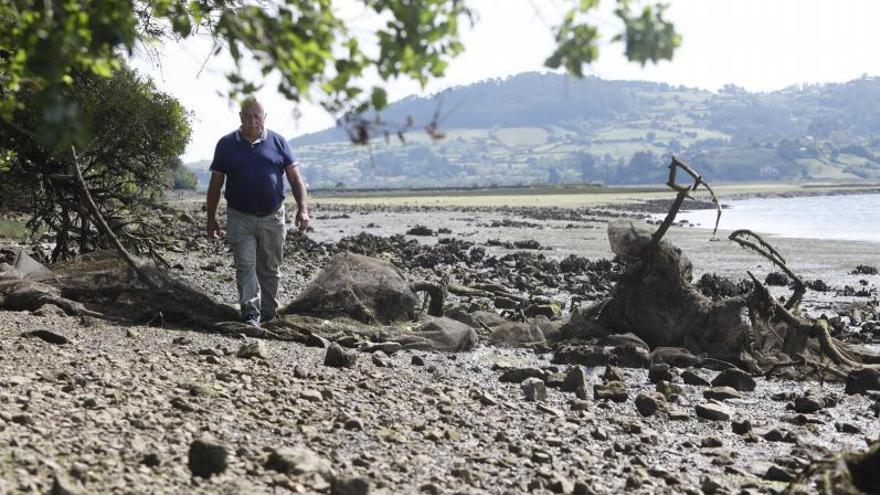 EL DECLIVE DELMARISQUEO. Andrés García pasea por los bordes de la margen derecha de la ría, hoy sin actividad marisquera.