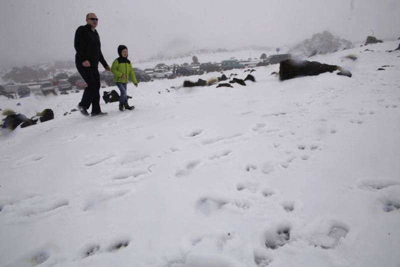 Visita al Teide nieve  | 06/12/2019 | Fotógrafo: Delia Padrón