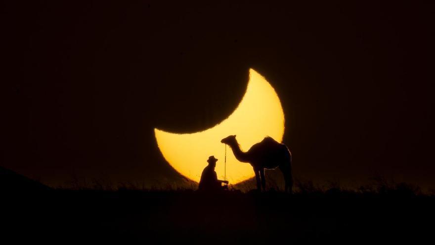 Eclipse solar con camello en Lanzarote