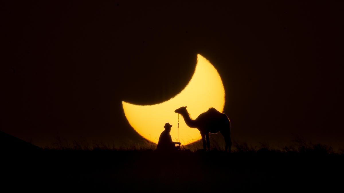 El camello ‘Martín’ se convierte en protagonista del eclipse solar en Canarias