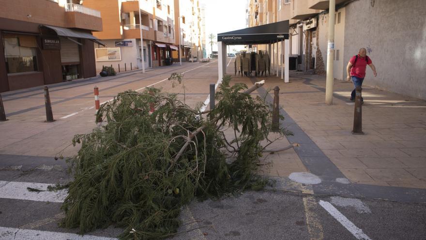 Alerta amarilla en el interior de València por las fuertes rachas de viento