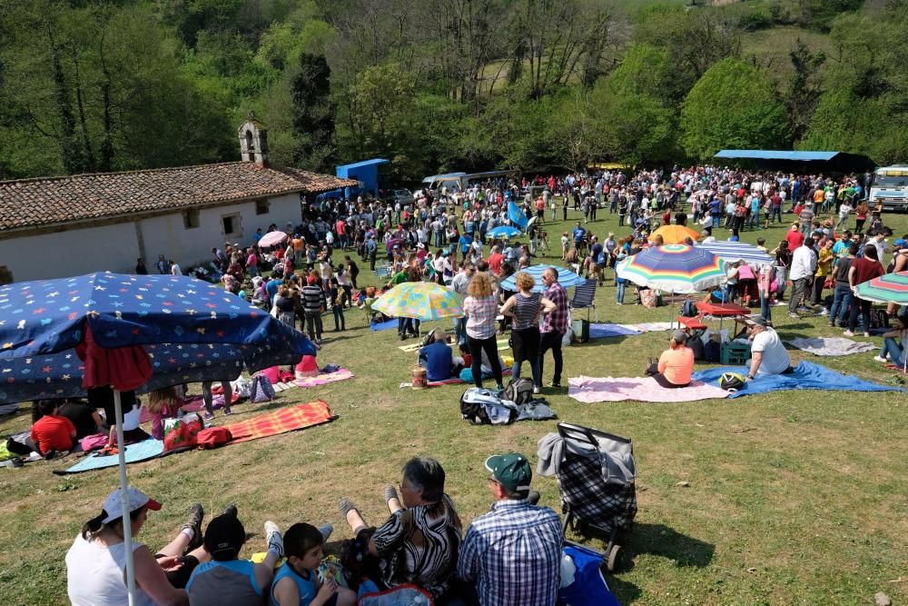 Romería de La Flor en Lena