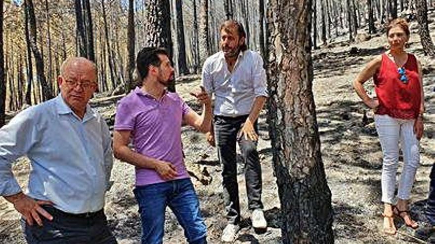 Tudanca, segundo por la izquierda, en la zona del fuego de (Ávila).