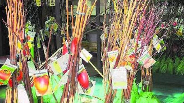 Productos a la venta. | Cedida