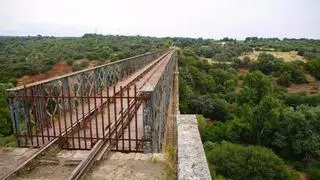 La licitación de la tercera y cuarta fase del cinturón verde, en 2024