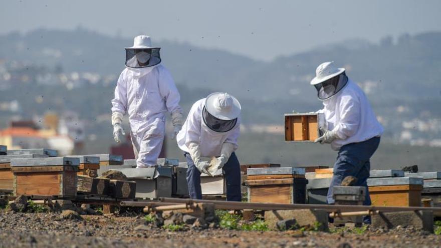 Escuela de apicultura