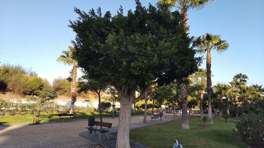 El frente vegetal de Cortijo Alto, un paseo con nota