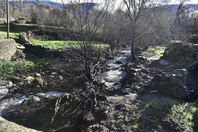 Fotogalería | Elecciones en Extremadura: Así votan este 21D en Jarilla y Villar de Plasencia
