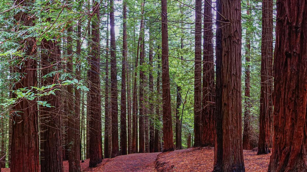 Descubre este paisaje natural único que te dejará sin palabras.