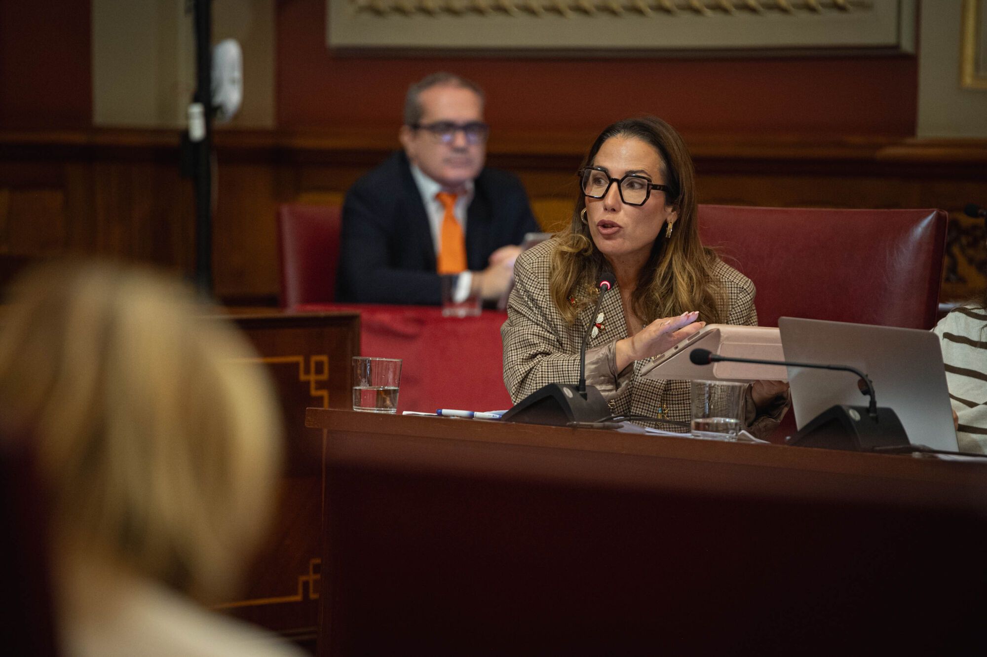 Pleno del Ayuntamiento de Santa Cruz