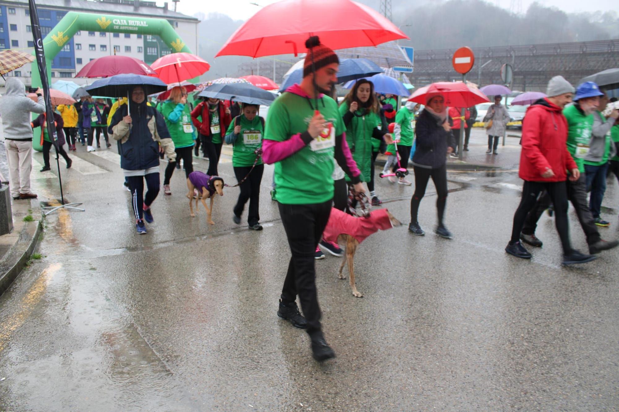 Así fue la carrera contra el cáncer en Langreo: Medio millar de valientes desafían a la lluvia por una buena causa