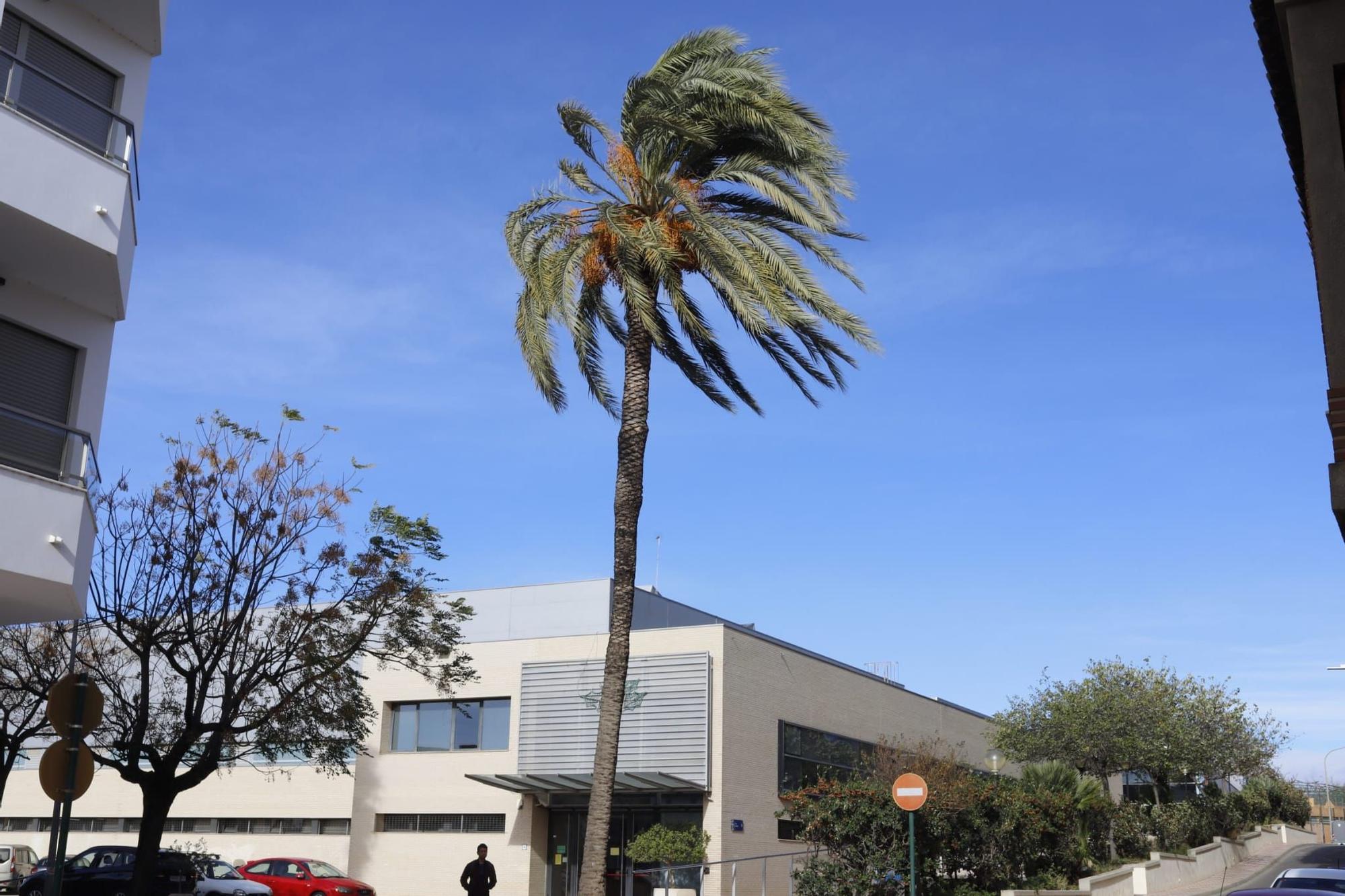 El viento sopla fuerte en Almussafes