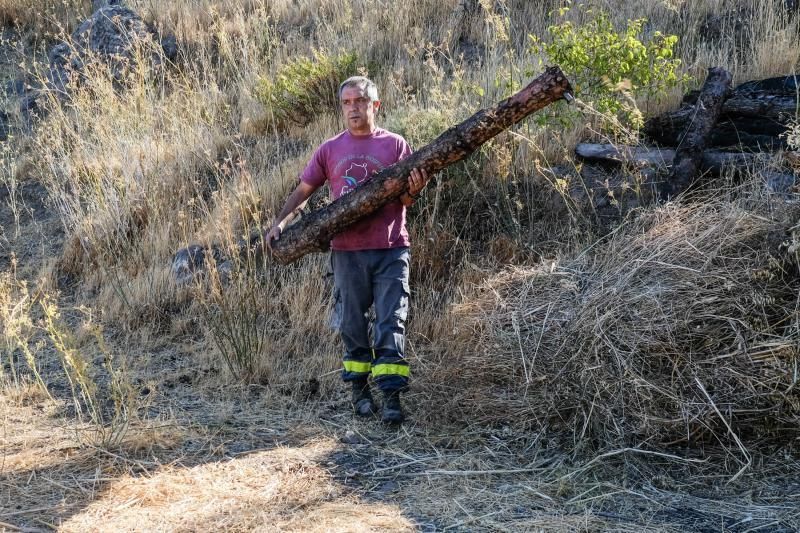 Tejeda. Carmelo Jiménez, Carbonero.  | 11/10/2019 | Fotógrafo: José Carlos Guerra