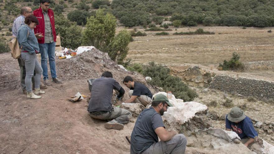 Hallan en Morella otro yacimiento con restos de dinosaurios