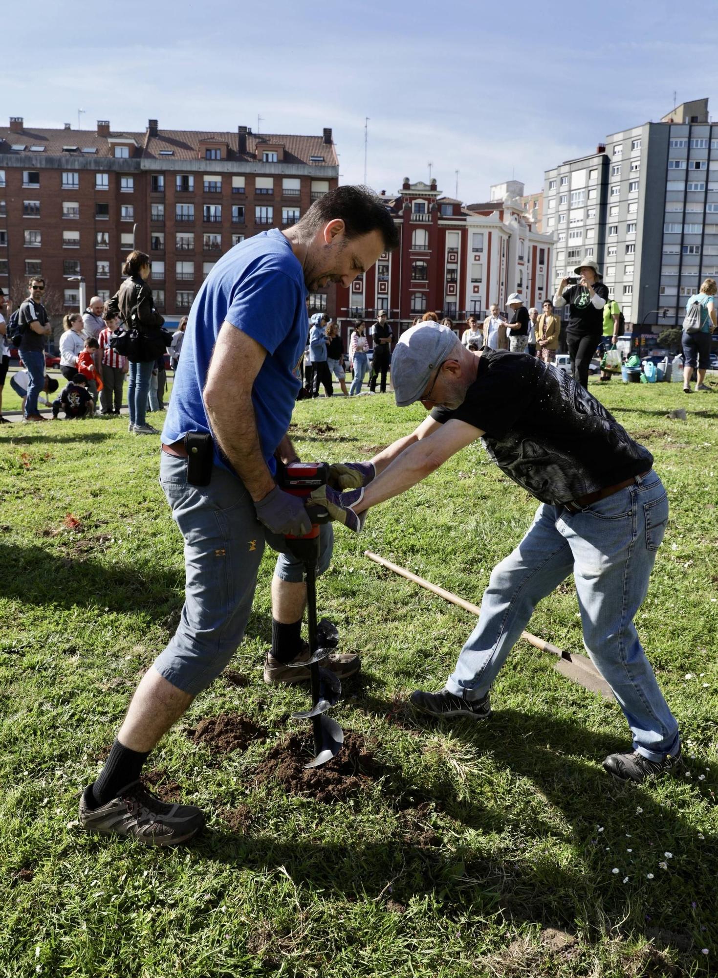 Así fue la plantación de árboles en el Solarón (en imágenes)