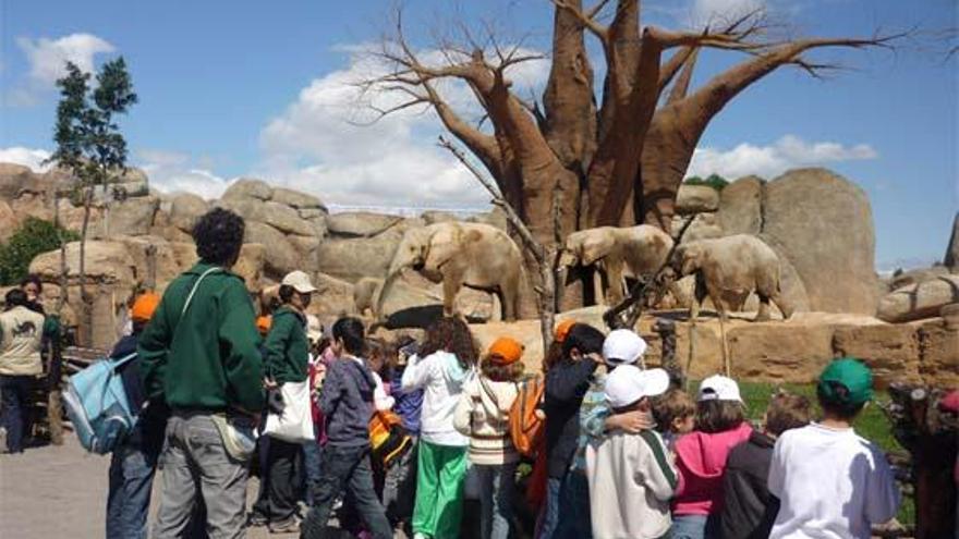 Concurso de Ciencia en Bioparc