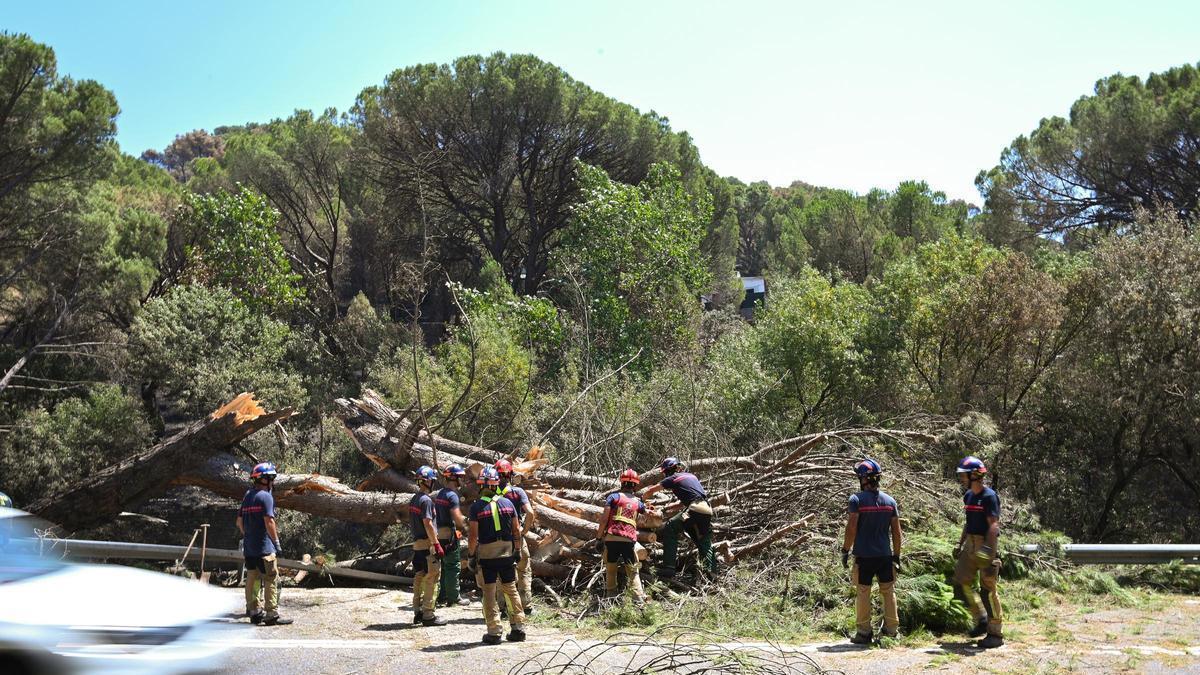 Zonas calcinadas tras el paso del incendio de la Sierra Oeste de Madrid, a 30 de julio de 2026, en Pelayos de la Presa, Madrid (España). La Comunidad de Madrid ha recuperado el control del operativo contra el incendio forestal de la Sierra Oeste, que ya n