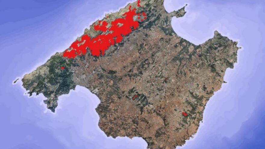 Distribución de los daños en Mallorca.