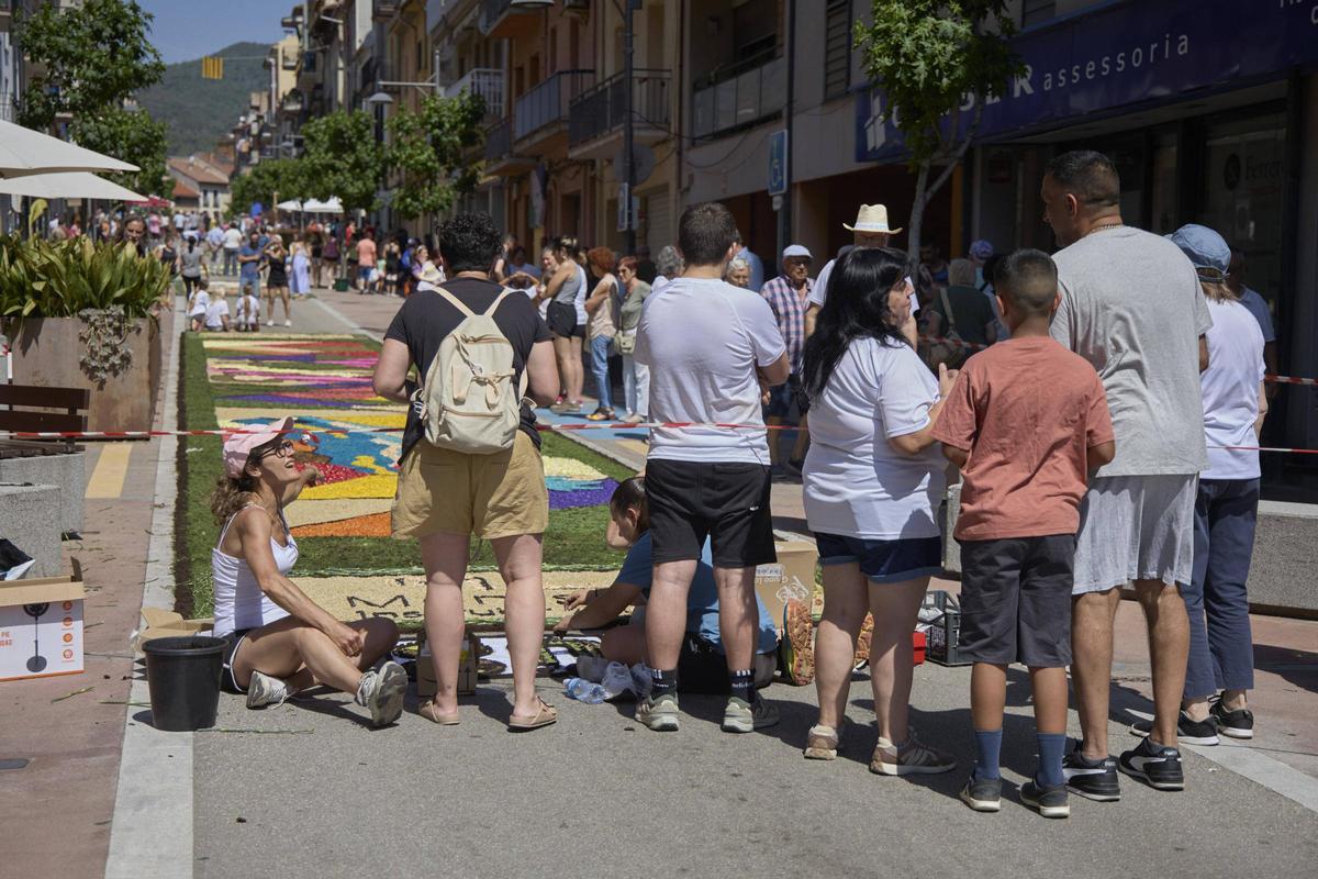 Les catifes d'Arbúcies en imatges