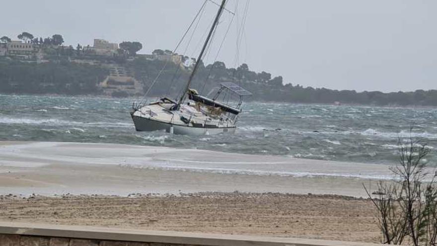 Velero encallado en la playa de Pollença esta mañana