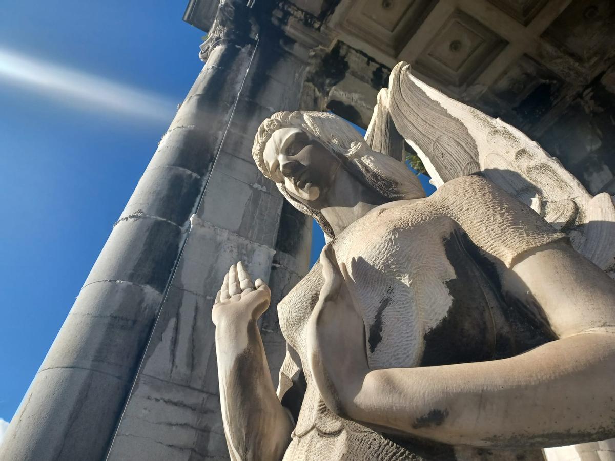 La figura, vista frontalmente.