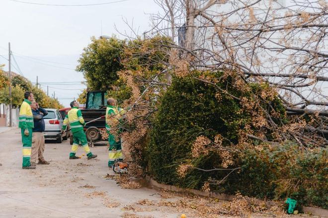 Los efectos de la borrasca Kristin en la provincia, en imágenes