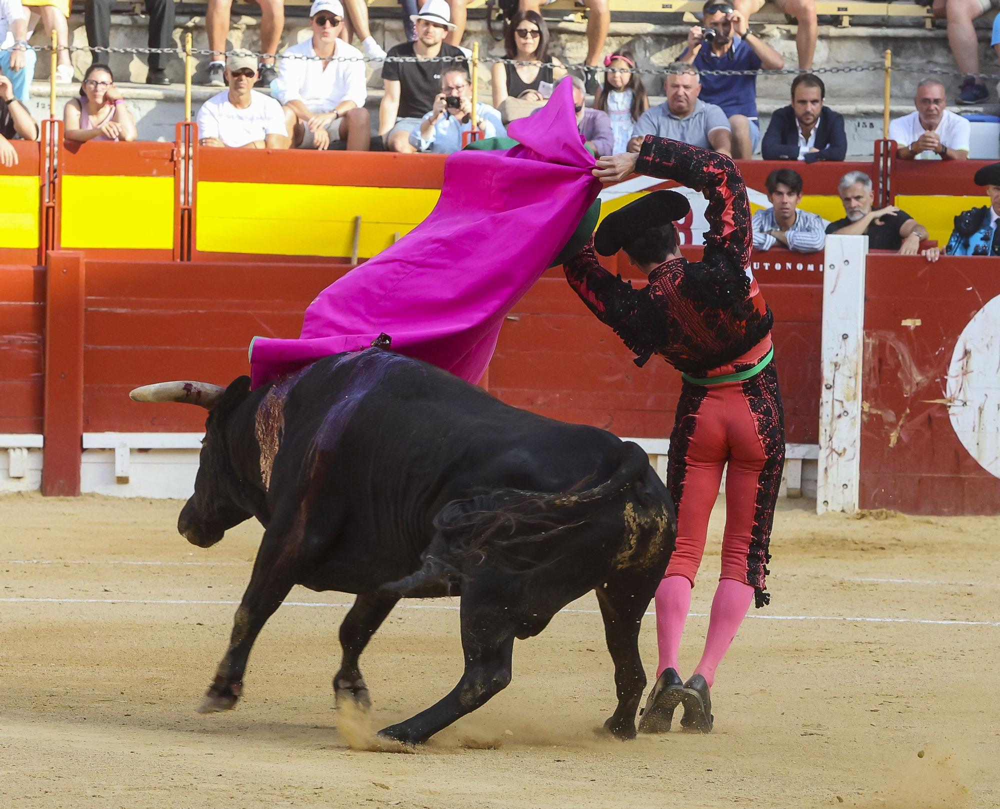 Novillada de Zacarías Moreno para cerrar la Feria de Hogueras