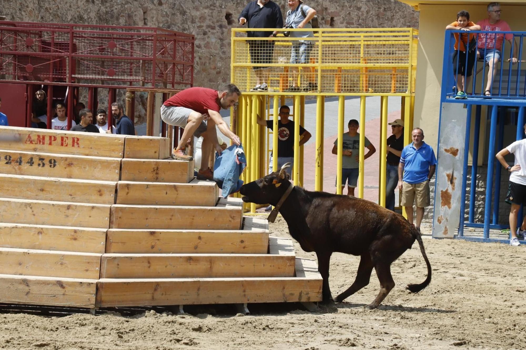 El programa taurino tiene un peso muy importante en la programación festiva.