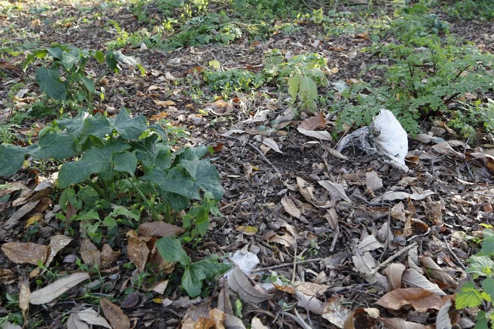 Las pesquisas policiales se trasladaron del lugar donde apareció el cadáver a la casa de la víctima