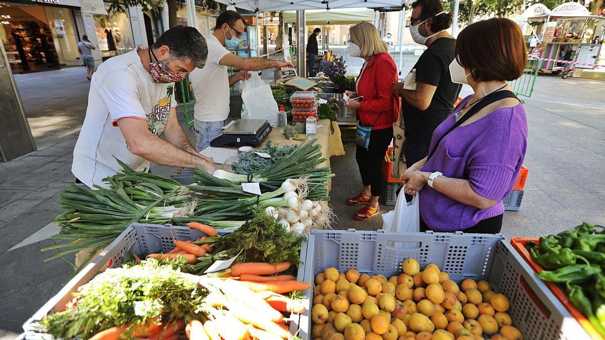 Mercado de agricultura ecológica en la ciudad de Córdoba.