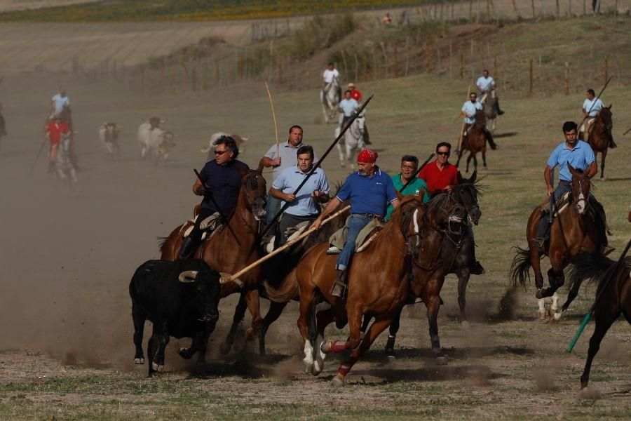 Espantes en Fuentelapeña