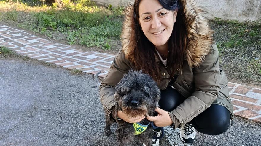 Localiza a su perro tras perderlo en Estivella hace 13 años
