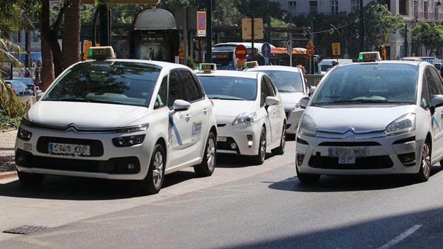 Taxistas en Málaga capital.