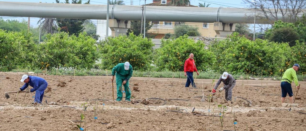 Un grupo de agricultores.