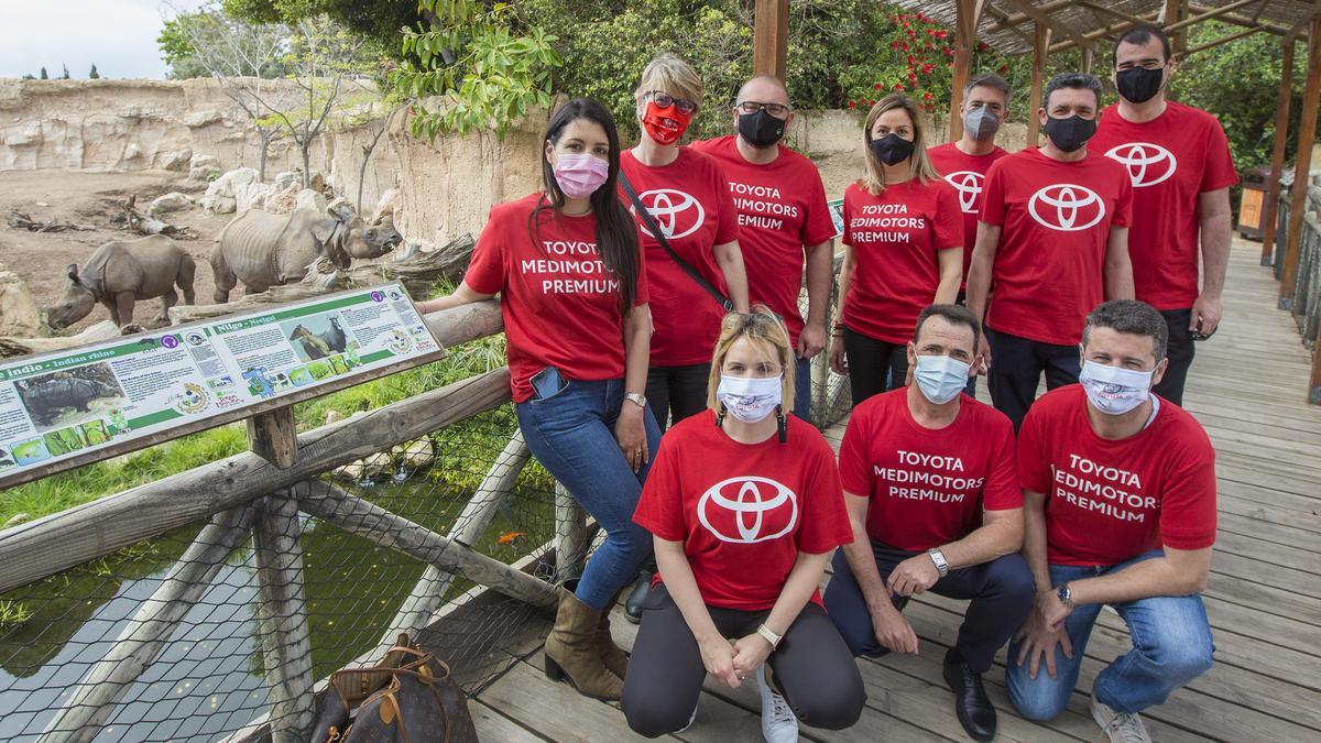 Parte del equipo de Toyota Medimotors Premium Alicante se ha acercado a conocer a Duna en las instalaciones de Terra Natura.