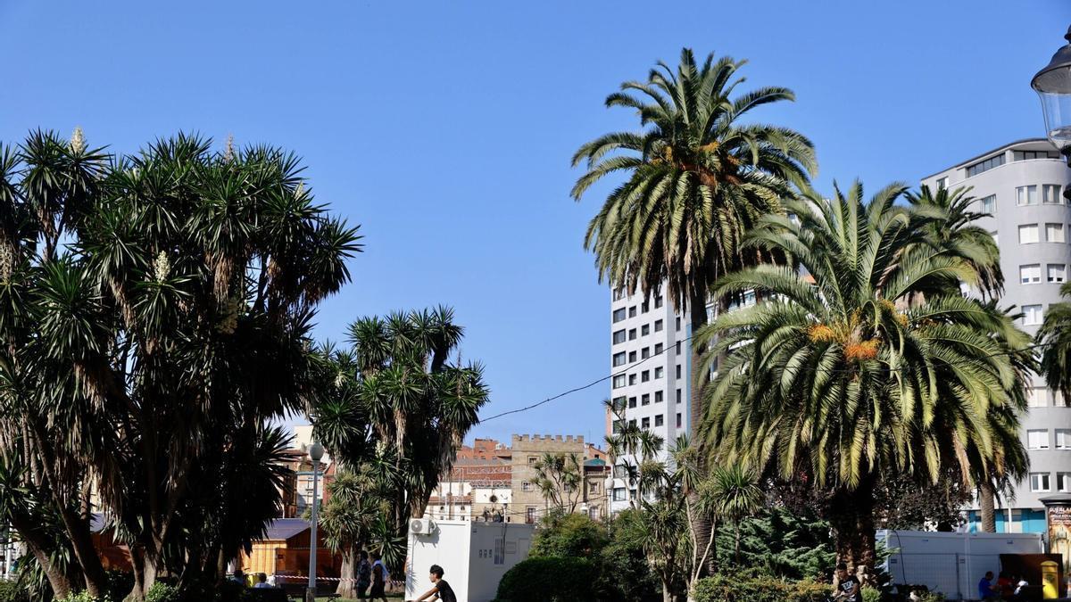 Palmeras en los jardines de la Reina
