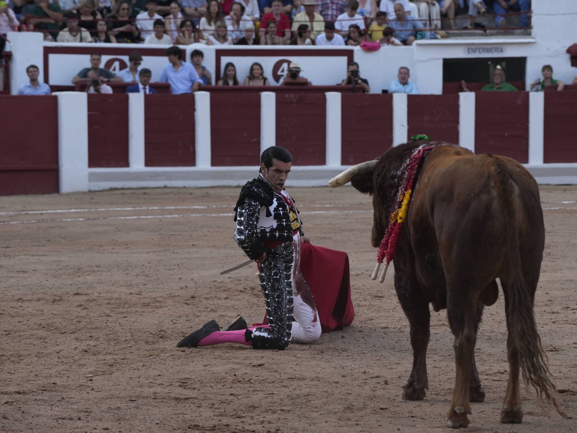 Las mejores imágenes de la feria taurina de San Pedro en Zamora.