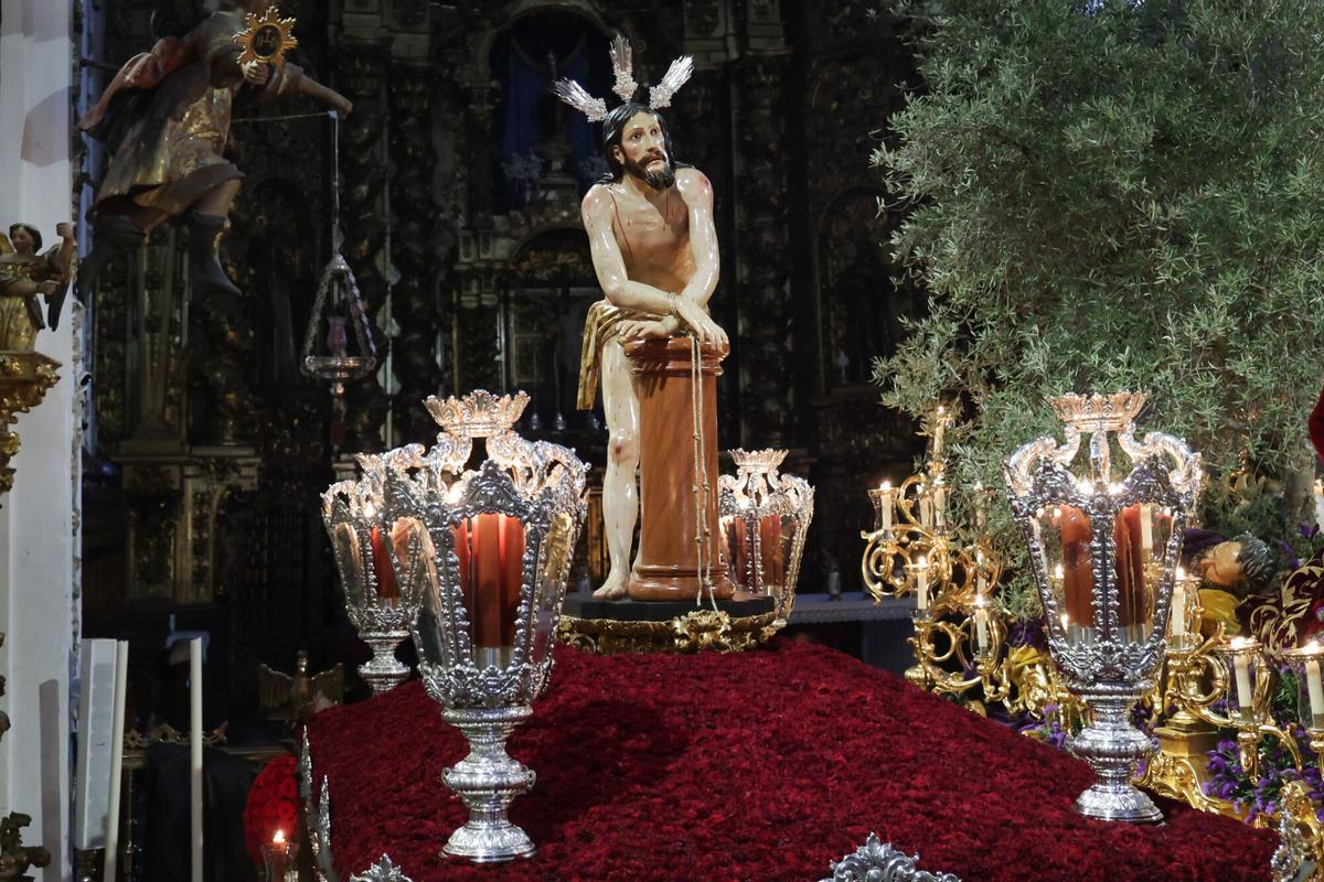 FIRMA DE FOTO FRANCISCO FERNÁNDEZ CÓRDOBA Domingo de Ramos Hermandad y Cofradía de Nuestro Padre Jesús de la Oración en el Huerto, Señor Amarrado a la Columna, María Santísima de la Candelaria, Nuestra Señora del Amparo y San Eloy Obispo