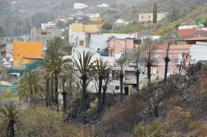 24-02-2020 MOGÁN. Afectados por el incendio,  en La Aldea y Tasarte. Fotógrafo: ANDRES CRUZ  | 24/02/2020 | Fotógrafo: Andrés Cruz