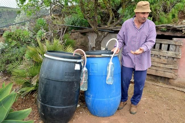 Pepe Guedes, agricultor orgánico