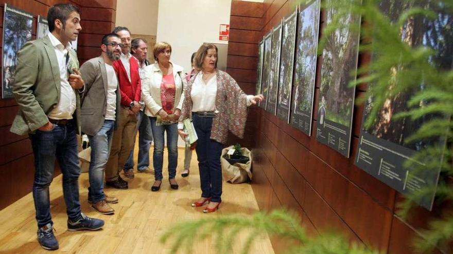 Inauguración de la muestra, ayer, en el Pazo de Liñares. // Bernabé/Luismy