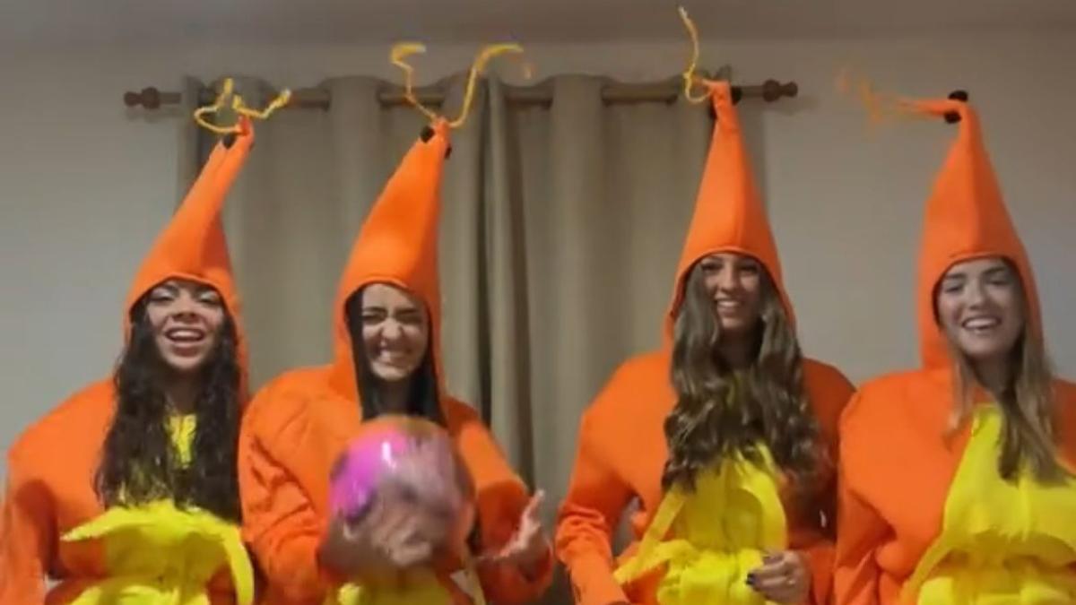 Disfraz "Baile de la Gambita"