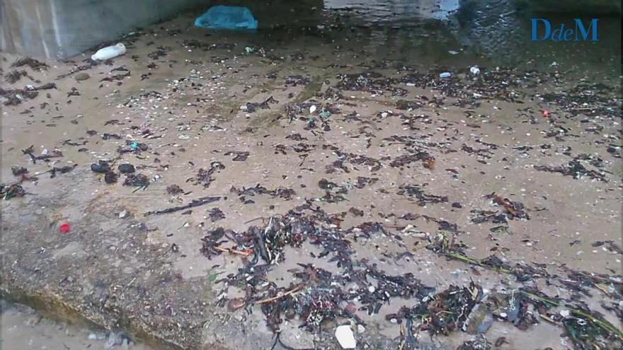 Vecinos del  Molinar denuncian los vertidos de aguas fecales al mar