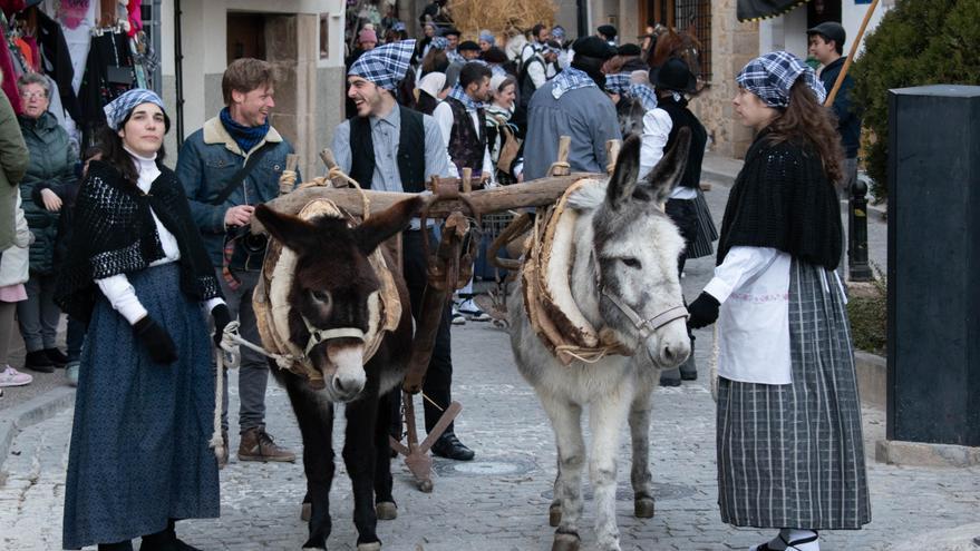 Morella se engalana con un deslumbrante desfile ecuestre por Sant Antoni