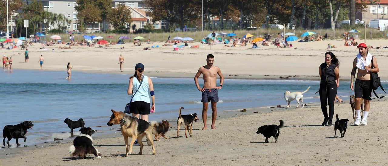 Aspecto de la playa canina de A Calzoa, ayer por la tarde, con Samil al fondo