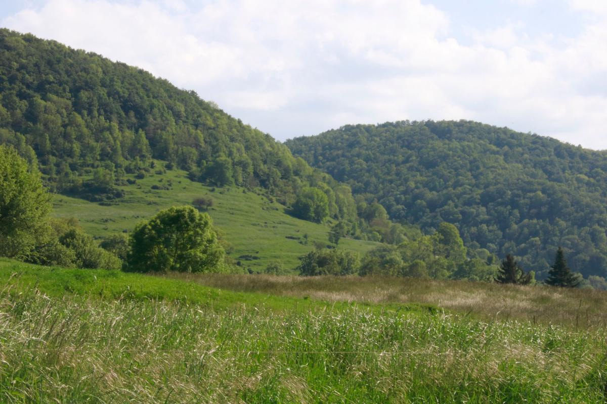Un paisatge de la Vall de Camprodon.