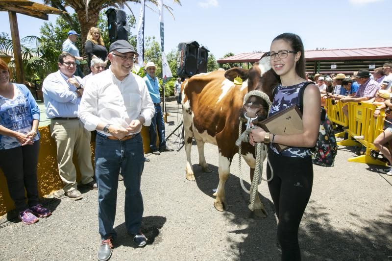 26.05.18. Bañaderos, Arucas. Feria de Ganado Selecto de Gran Canaria. Granja del Cabildo de GC..  Foto Quique Curbelo  | 27/05/2018 | Fotógrafo: Quique Curbelo