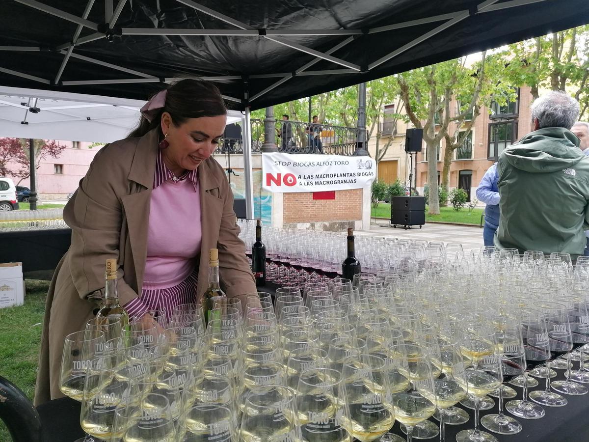 GALERÍA | Toro brinda por los vinos de la DO y el enoturismo